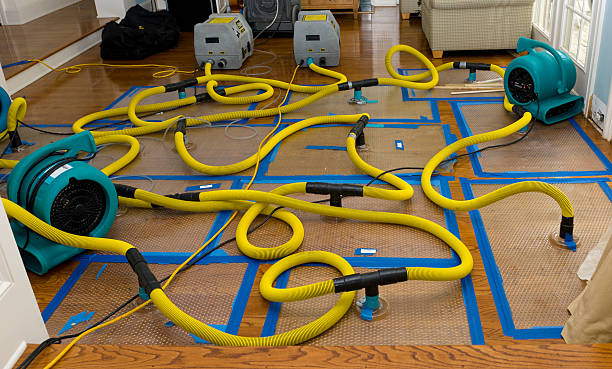 Professional Burst Pipe Water Damage technician working in Forest Lake, MN